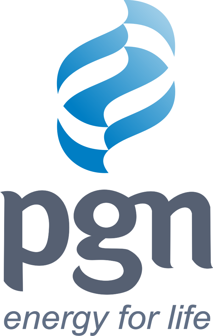 Pt PGN