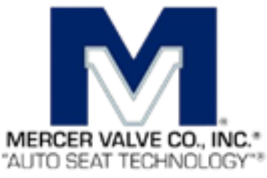 mercer valve